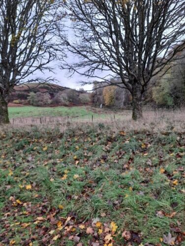 View from car park to finish