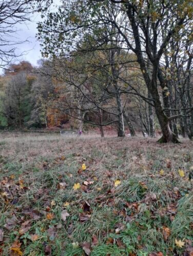 Stunning Autumn colours