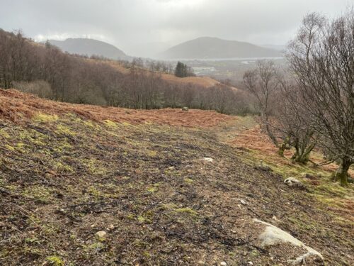 Inverlochy Hillside