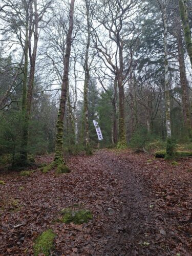 MTB Finish